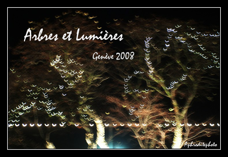 Trees And Lights Genève
